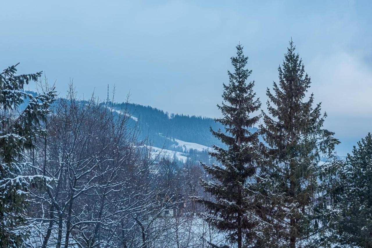 Zakopianskie Widoki Zakopane Luaran gambar